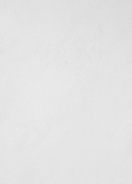 Painted Plaster